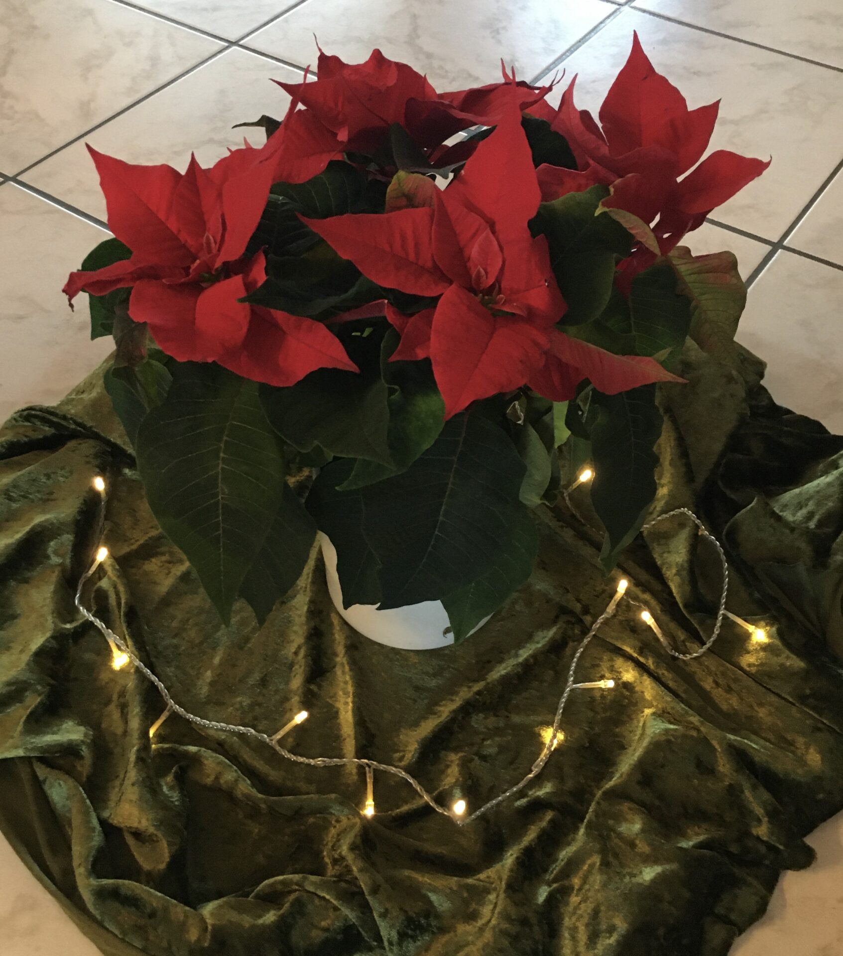 Friedericke-Schäfer-Heim Schweinfurt