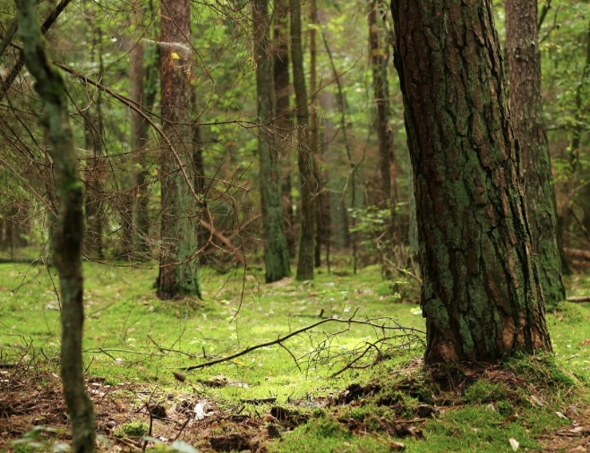Meditatives Märchenwochenende